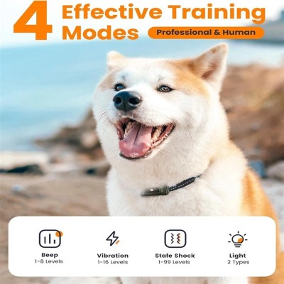 Automatic Pet Feeder Supplier Automatic Pet Feeder Supplier