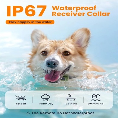 Smart WiFi-Enabled Automatic Pet Feeder Smart WiFi-Enabled Automatic Pet Feeder