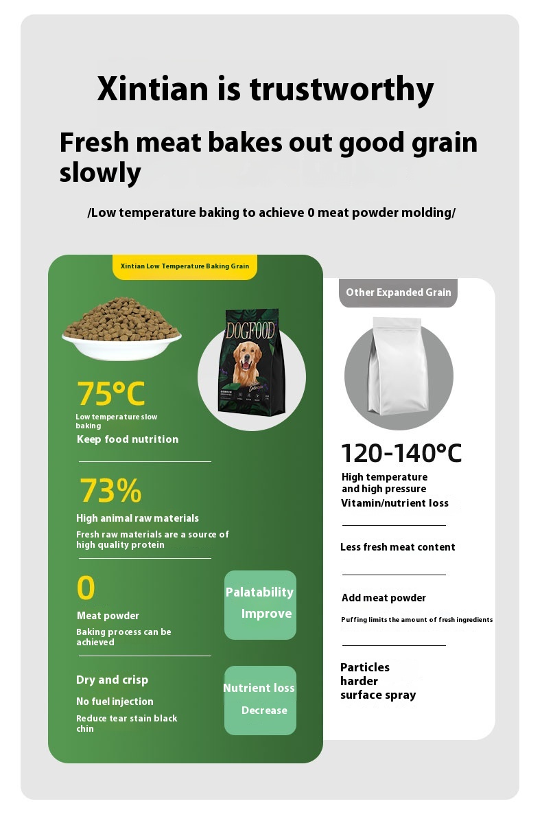 Automatic Pet Feeder Supplier Automatic Pet Feeder Supplier