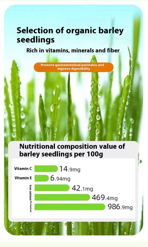 Automatic Pet Feeder Supplier Automatic Pet Feeder Supplier