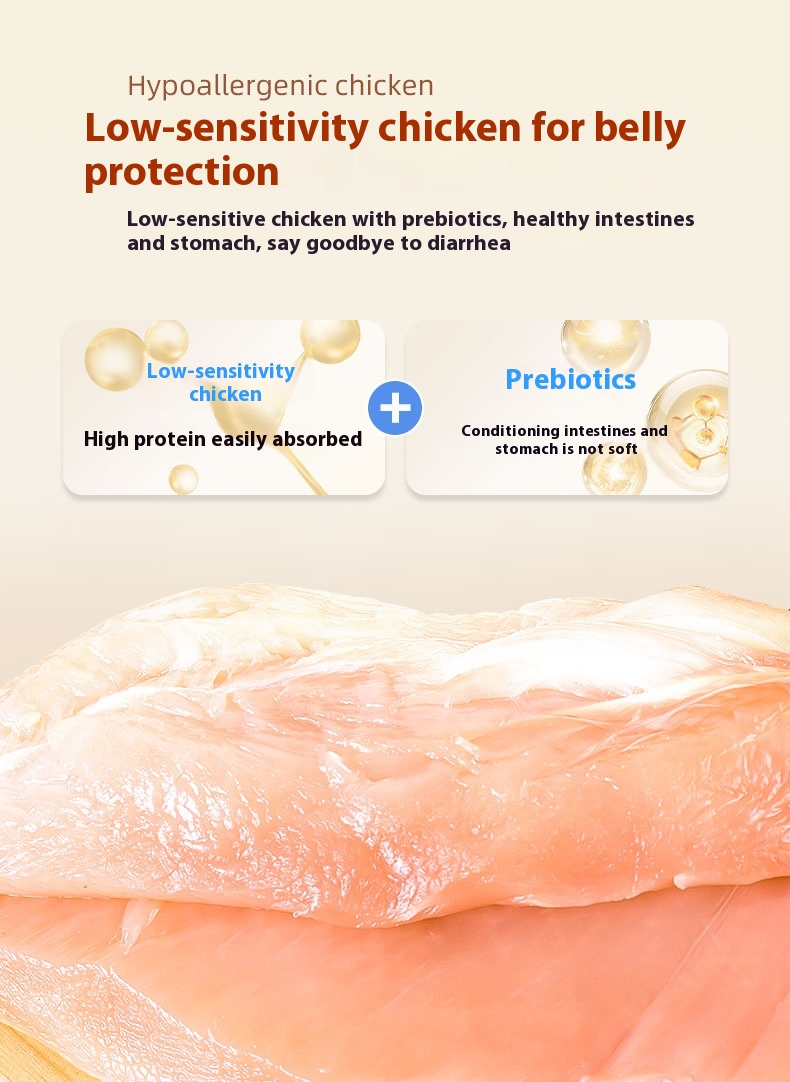 Automatic Pet Feeder Supplier Automatic Pet Feeder Supplier