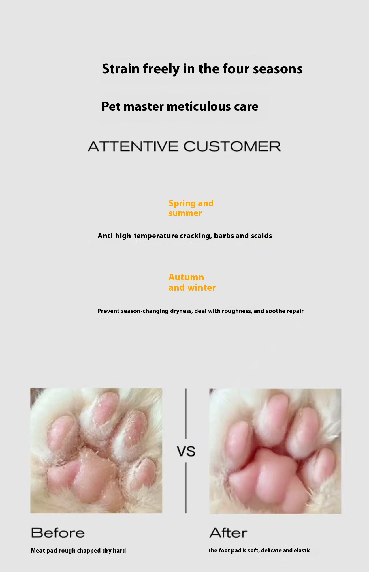 Automatic Pet Feeder Supplier Automatic Pet Feeder Supplier