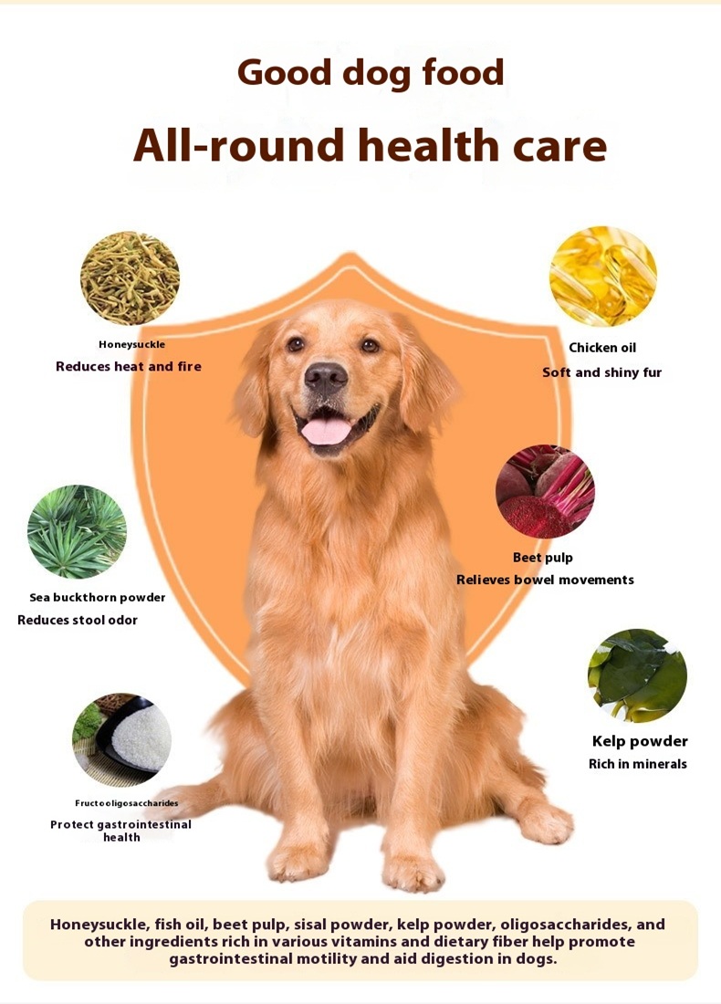 Remote Control Dog Feeder Remote Control Dog Feeder